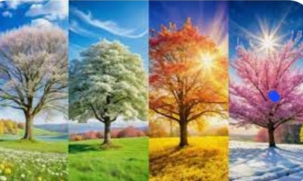 Club der 4 Jahreszeiten